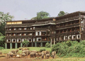 The Serena Mountain Lodge