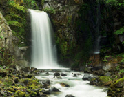 Visit Uganda with Big Five Safaris and Tours